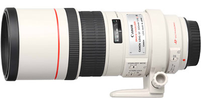 佳能EF 300mm f/4L IS USM镜头
