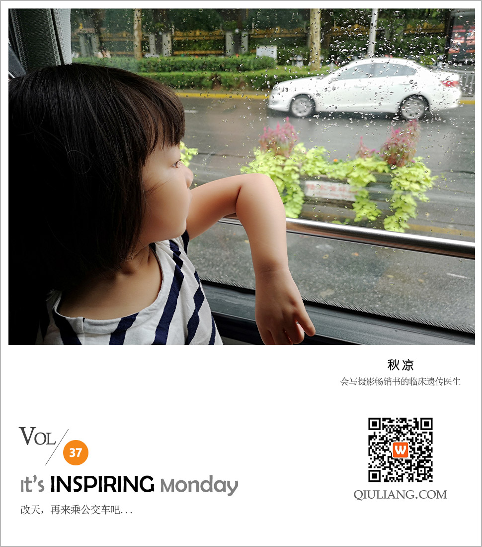 改天,再来乘公交车吧