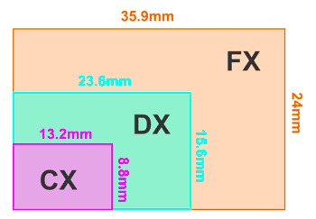 FX、DX、CX格式的区别