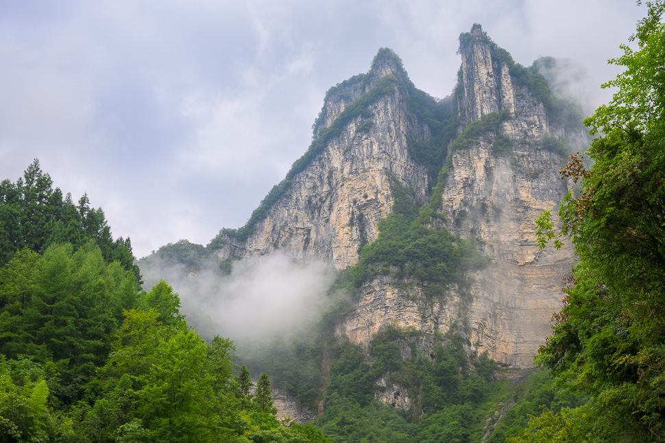 鹿院坪的晨雾