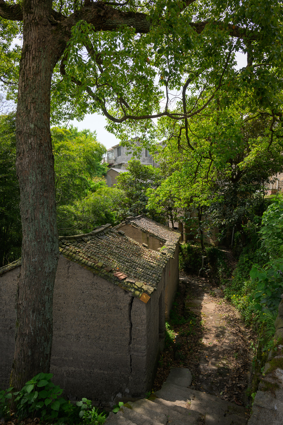 安山村