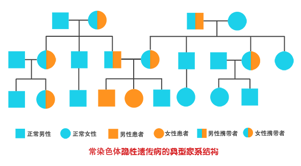 常染色体隐性遗传典型家系