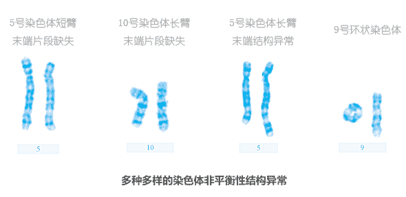 几个染色体异常核型图